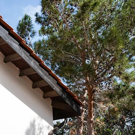 Villa Pine And Olive Seahouse