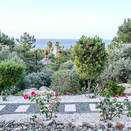 Villa Pine And Olive Seahouse