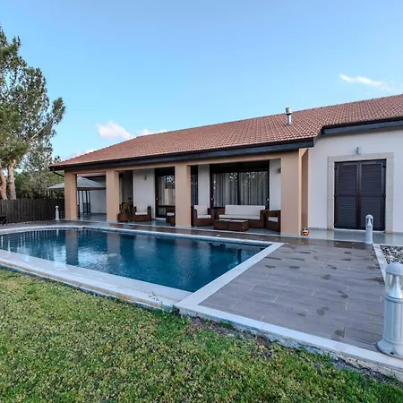 Pine And Olive Seahouse Neo Chorio