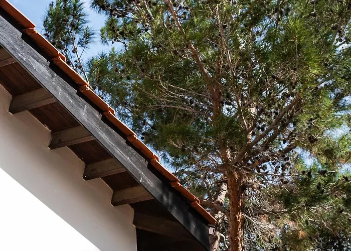 Villa Pine And Olive Seahouse