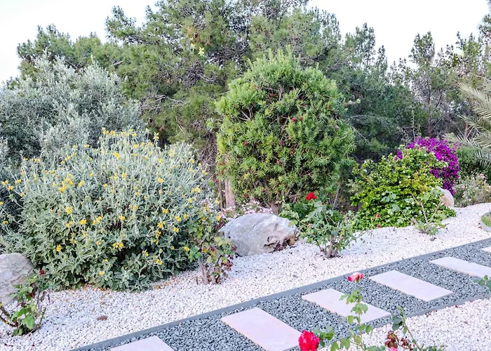 Pine And Olive Seahouse * Neo Chorio