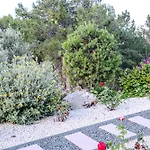 Pine And Olive Seahouse * נאו חוריו