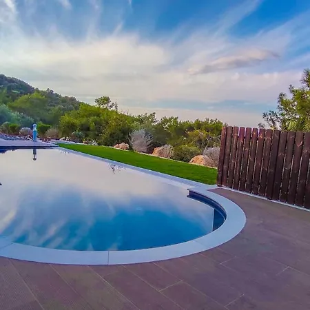 Pine And Olive Seahouse Neo Chorio