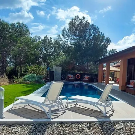 Pine And Olive Seahouse Neo Chorio