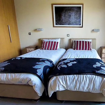 Willa Pine And Olive Seahouse Neo Chorio