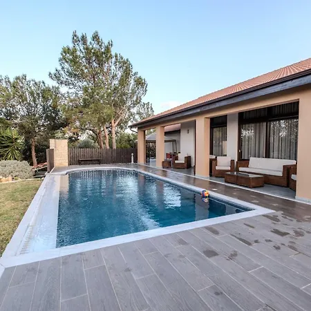 Pine And Olive Seahouse Neo Chorio