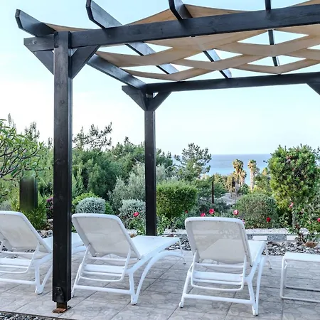 Pine And Olive Seahouse