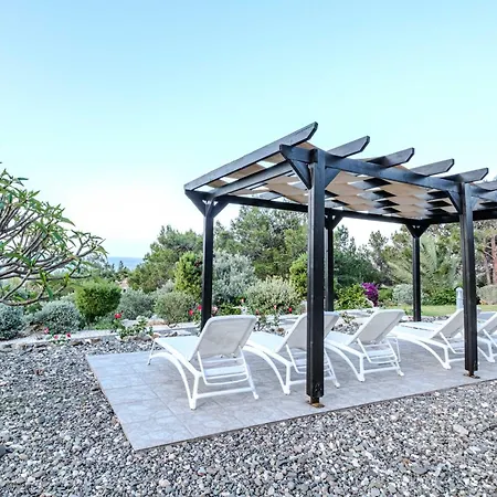 Pine And Olive Seahouse Neo Chorio