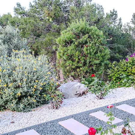 Pine And Olive Seahouse * Neo Chorio