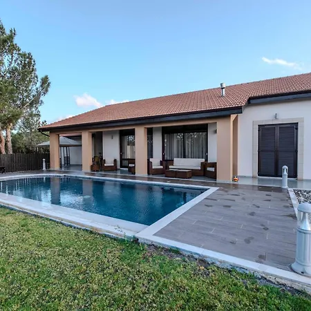 Pine And Olive Seahouse Neo Chorio