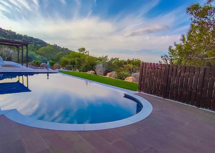 Pine And Olive Seahouse Neo Chorio