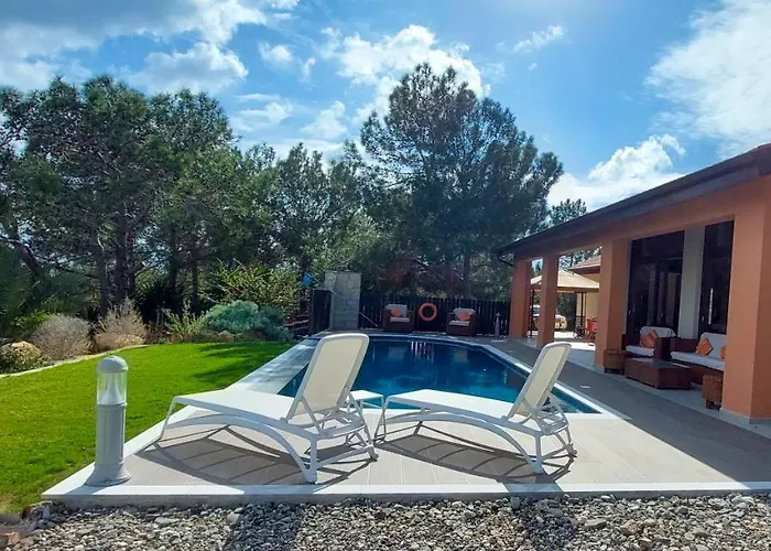 Pine And Olive Seahouse Neo Chorio