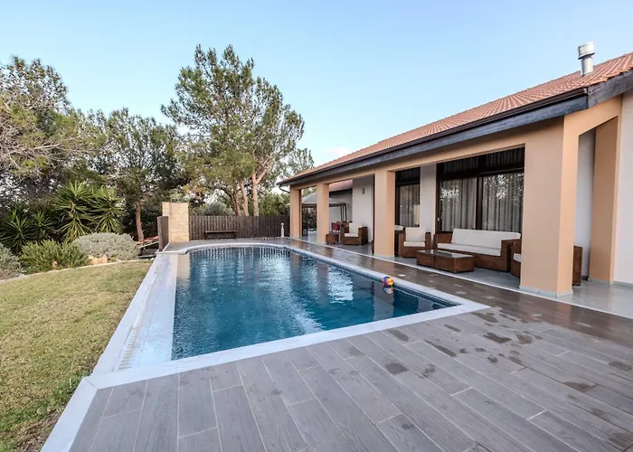 Pine And Olive Seahouse Neo Chorio