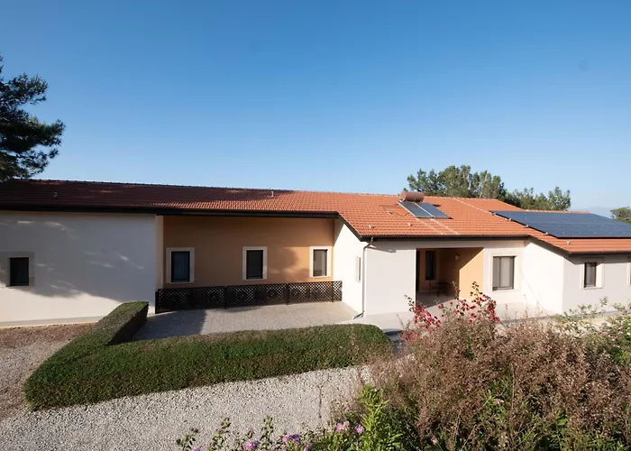 Pine And Olive Seahouse Neo Chorio