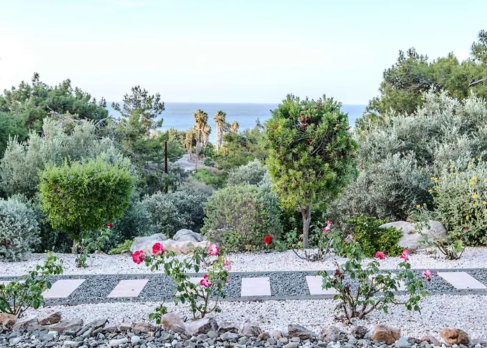 Vila Pine And Olive Seahouse